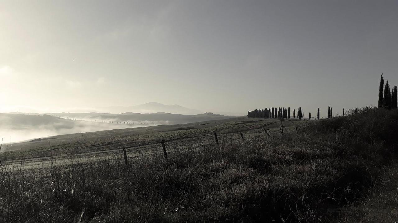 Podere Pievina Delle Corti - Dimora Di Campagna ซินาลุงกา ภายนอก รูปภาพ