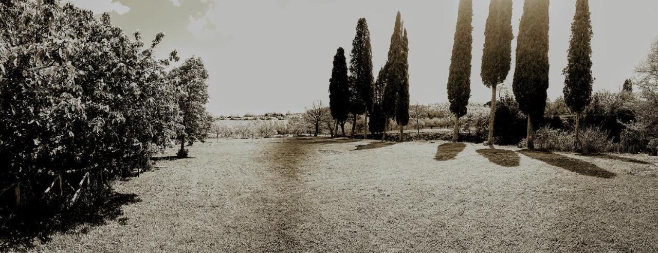 Podere Pievina Delle Corti - Dimora Di Campagna ซินาลุงกา ภายนอก รูปภาพ