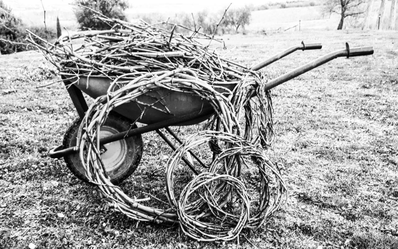Podere Pievina Delle Corti - Dimora Di Campagna ซินาลุงกา ภายนอก รูปภาพ