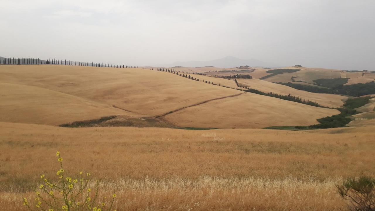 Podere Pievina Delle Corti - Dimora Di Campagna ซินาลุงกา ภายนอก รูปภาพ