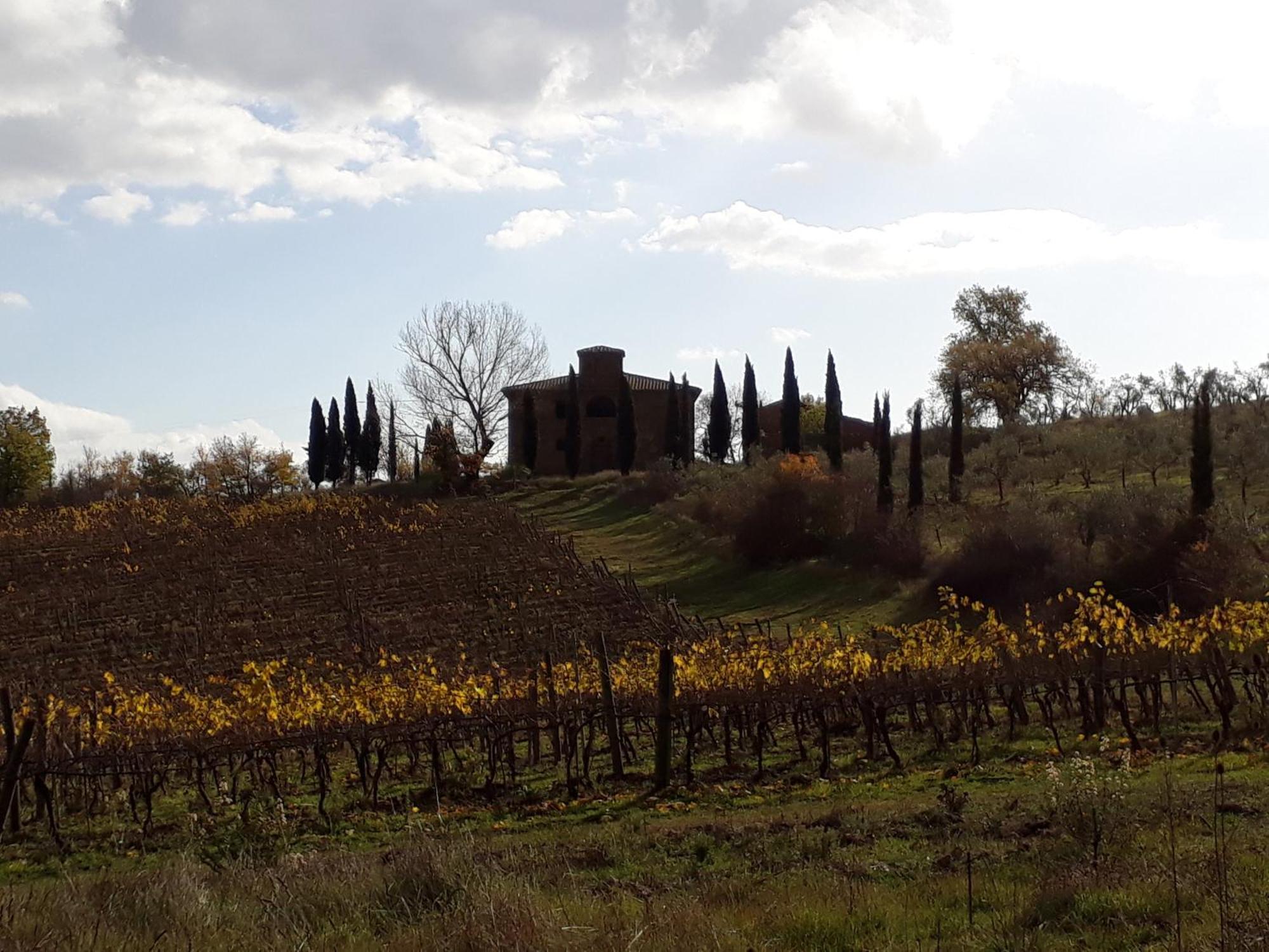 Podere Pievina Delle Corti - Dimora Di Campagna ซินาลุงกา ภายนอก รูปภาพ